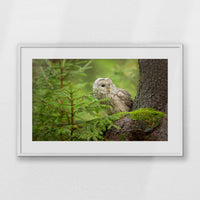 PWP093W062