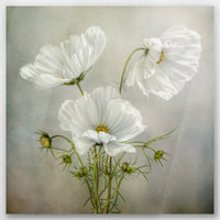 AL-060W060