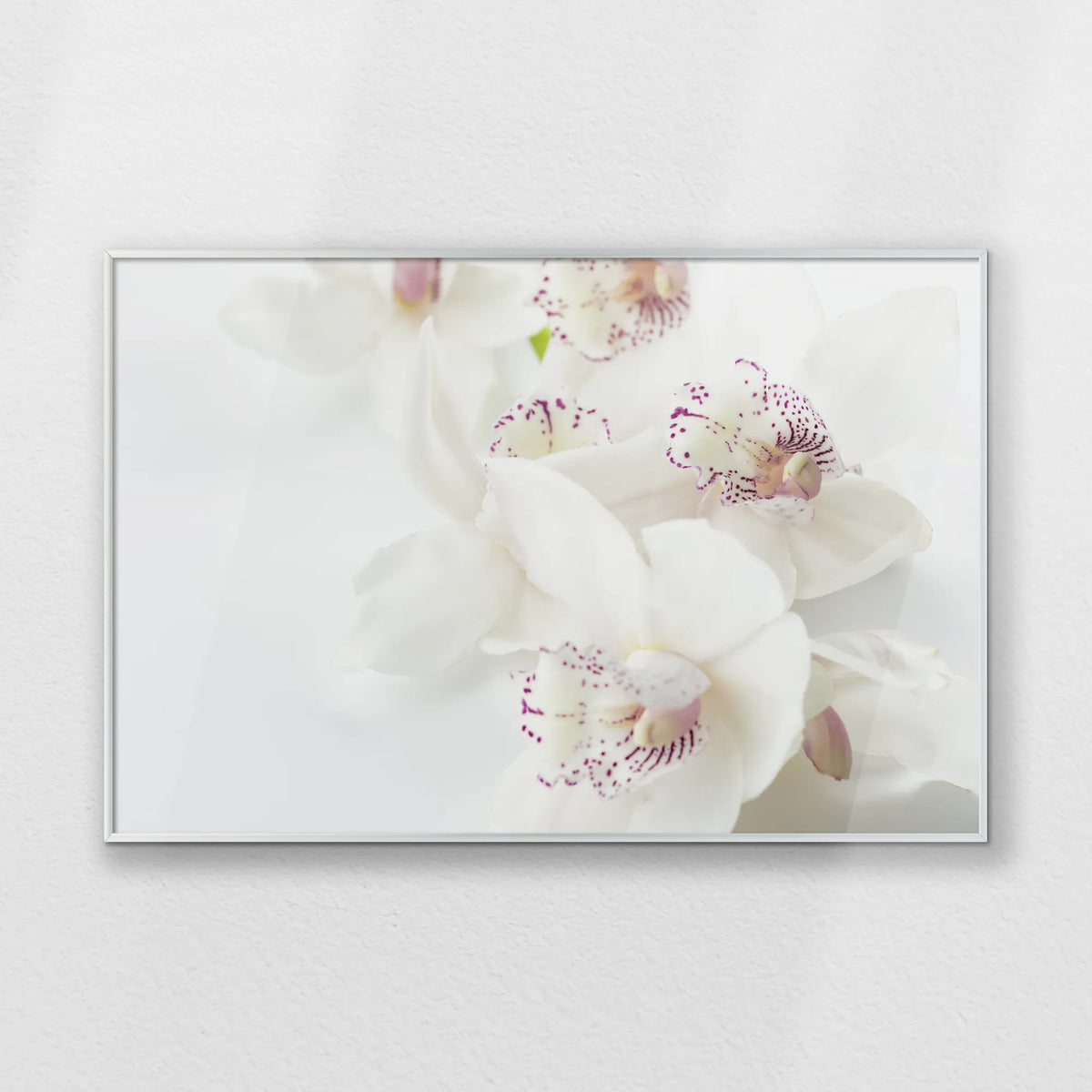 PS-093W062