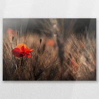 AL-045W030