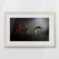 PNP060W040