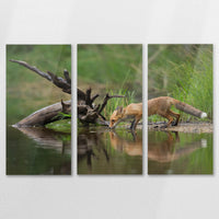 AC-120R080