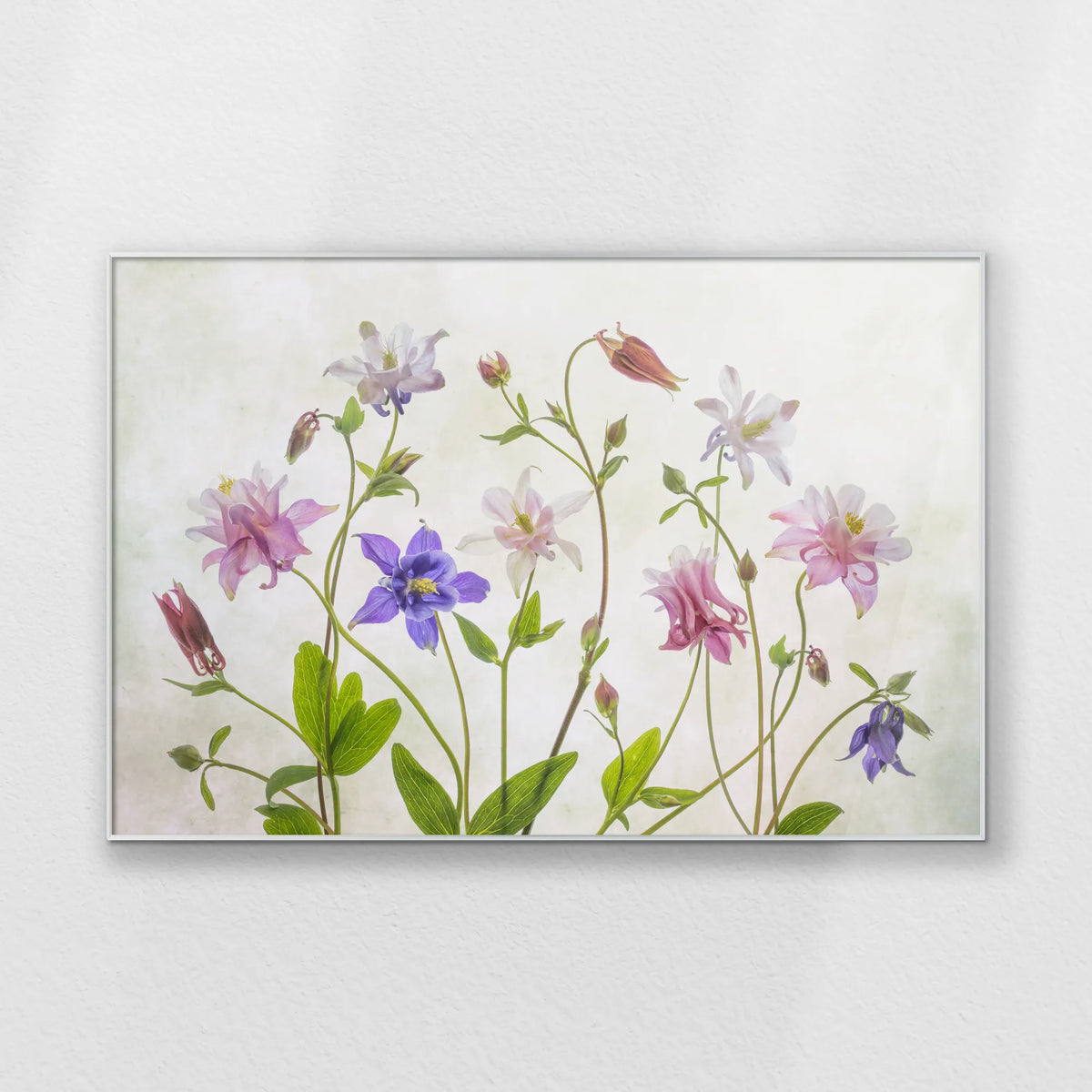 PS-120W080