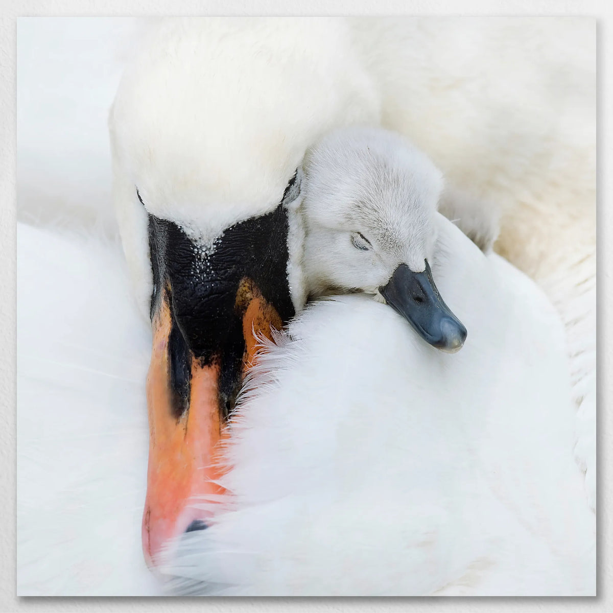 AL-090W090