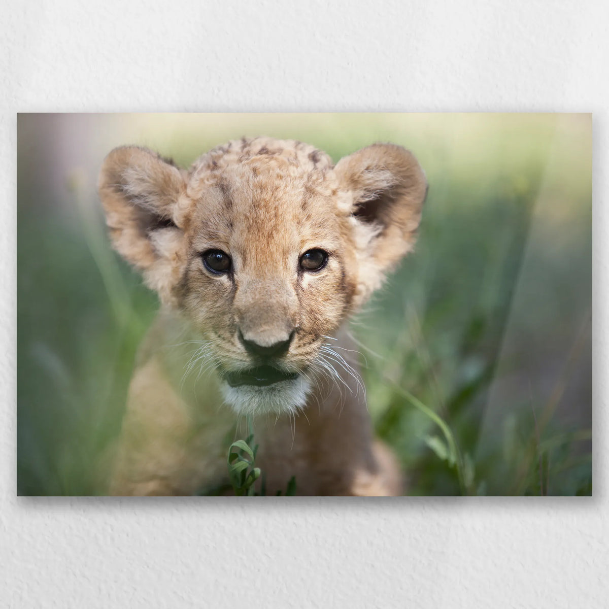 AL-030W020