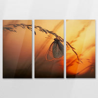 AC-120R080