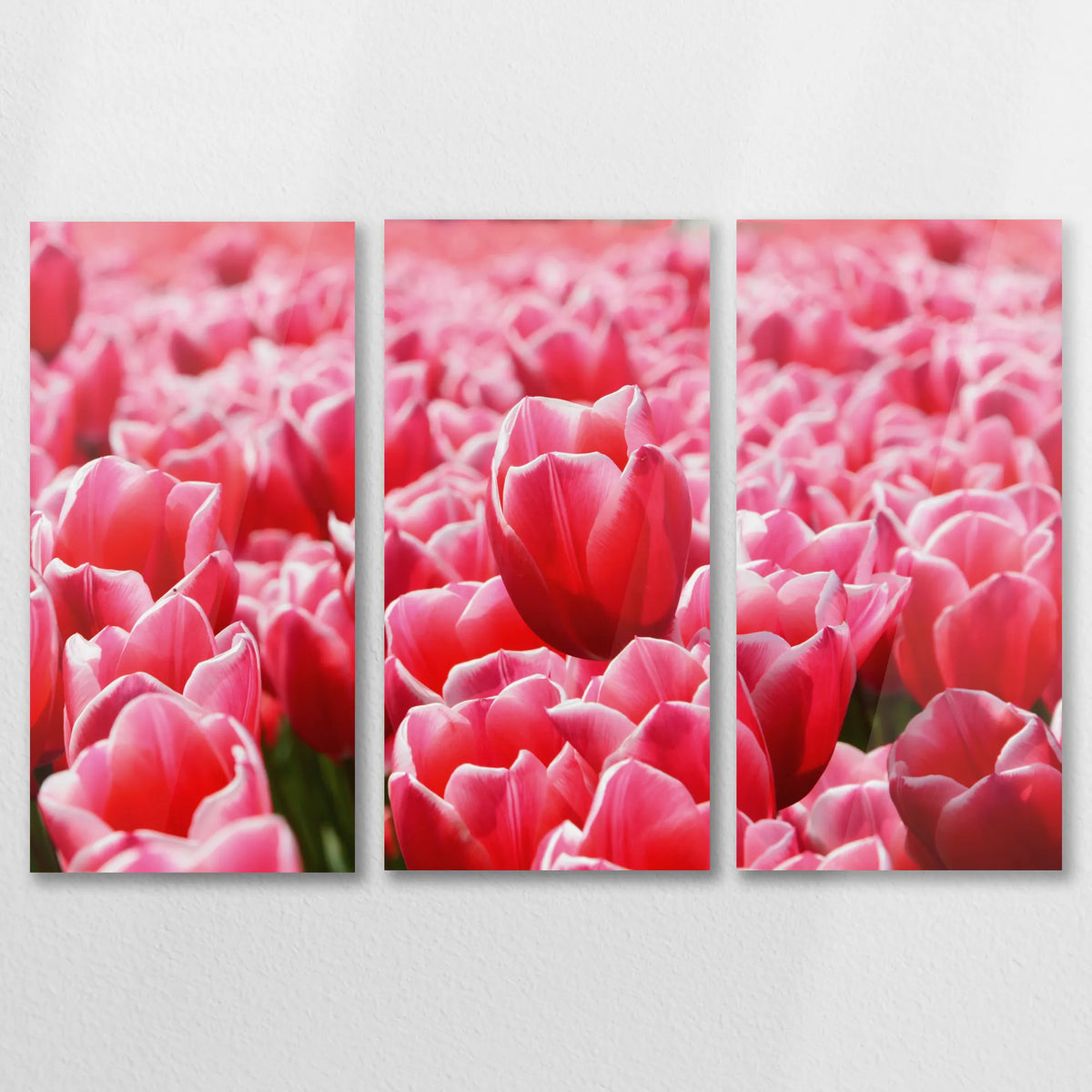 AC-090R060