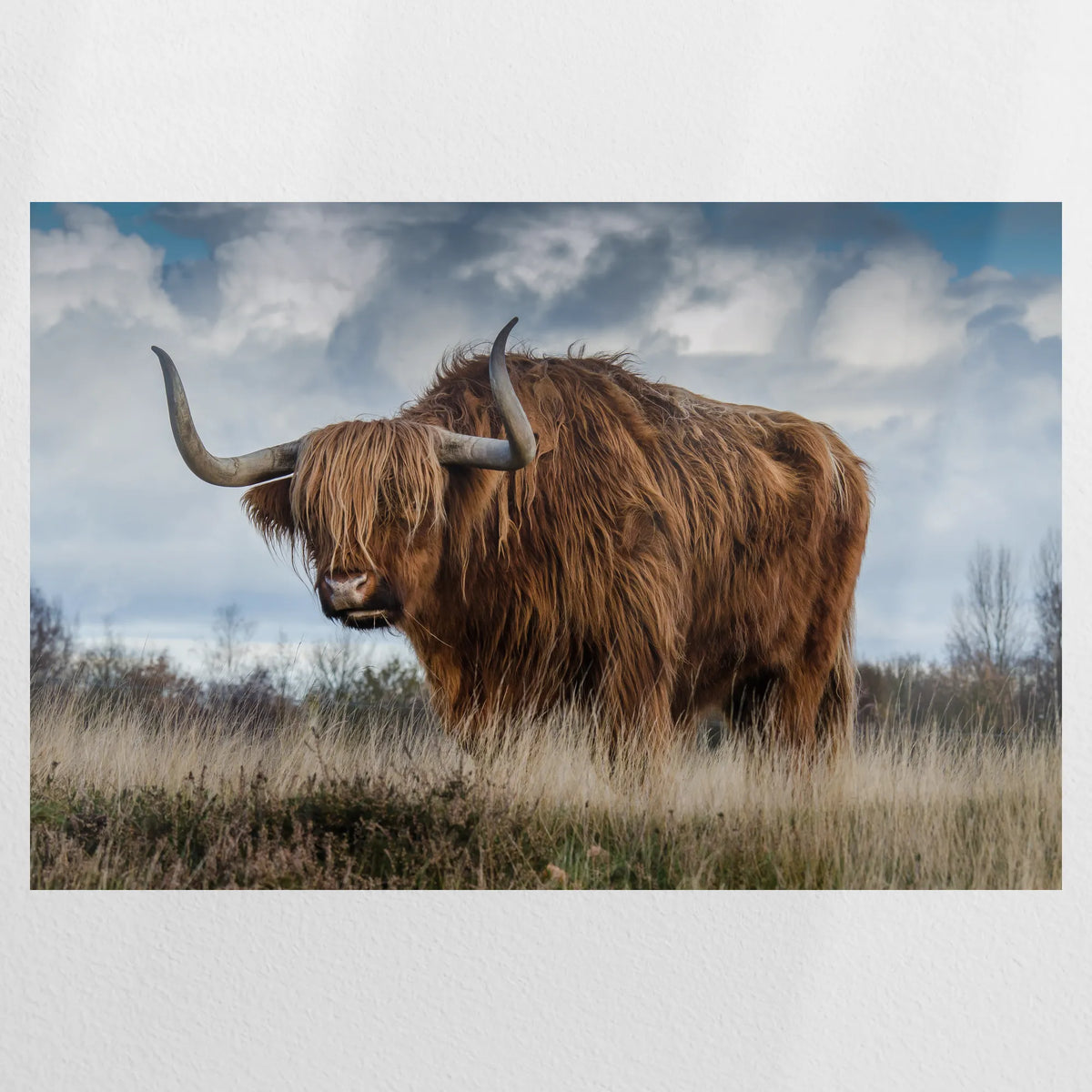 PO-075W050