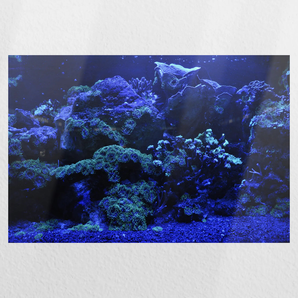 PO-030W020