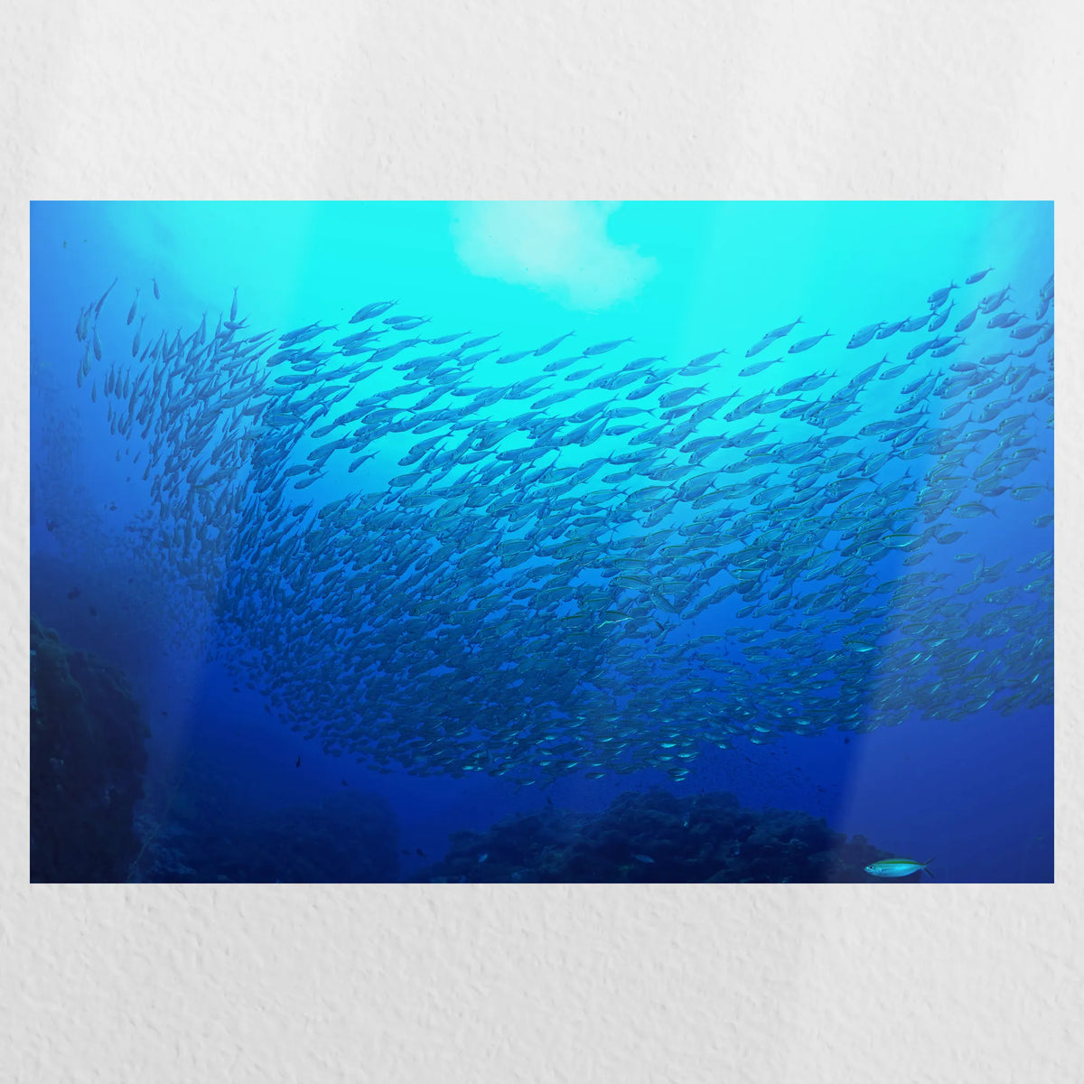 PO-060W040