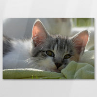 AL-075W050