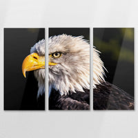 AL-150R100
