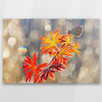 AL-030W020