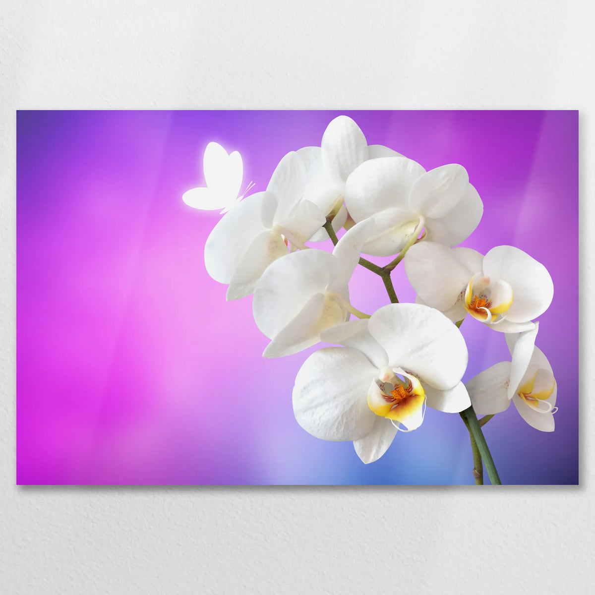 AL-075W050