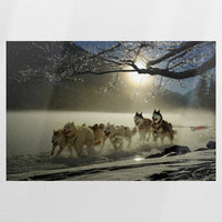 PO-120W080