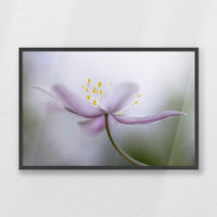 PK-093W062