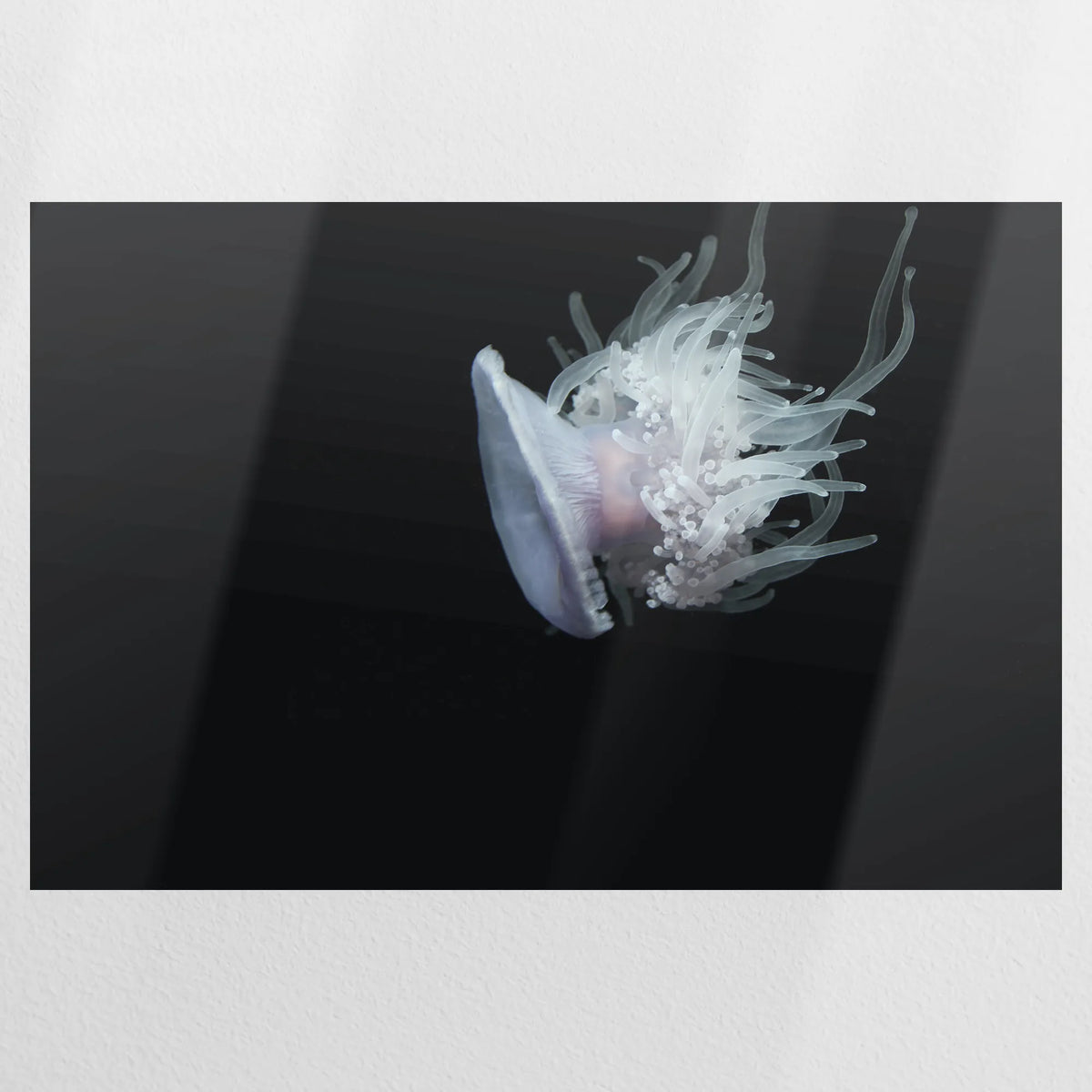 PO-120W080