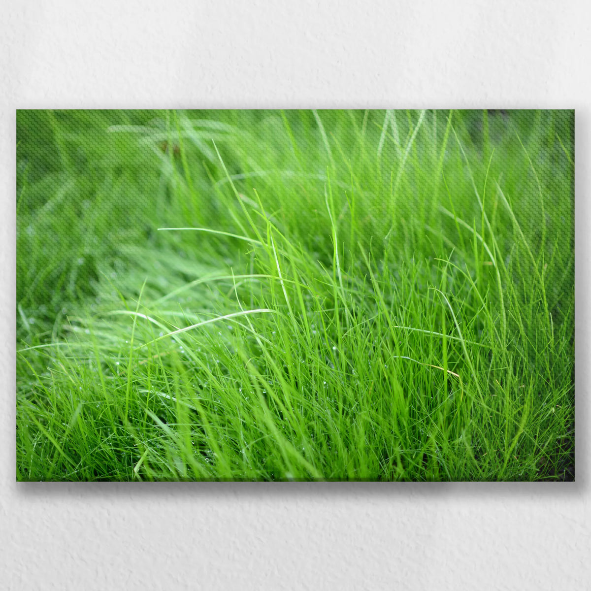 LW-045W030