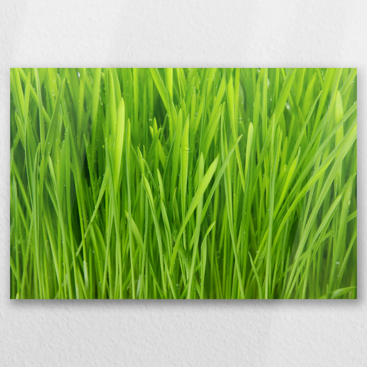 AC-030W020