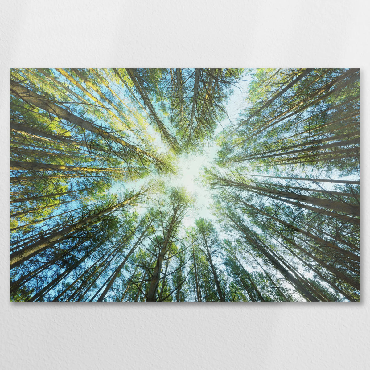 AL-090W060