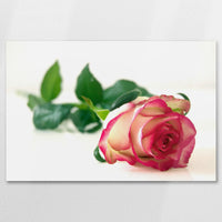 AL-090W060