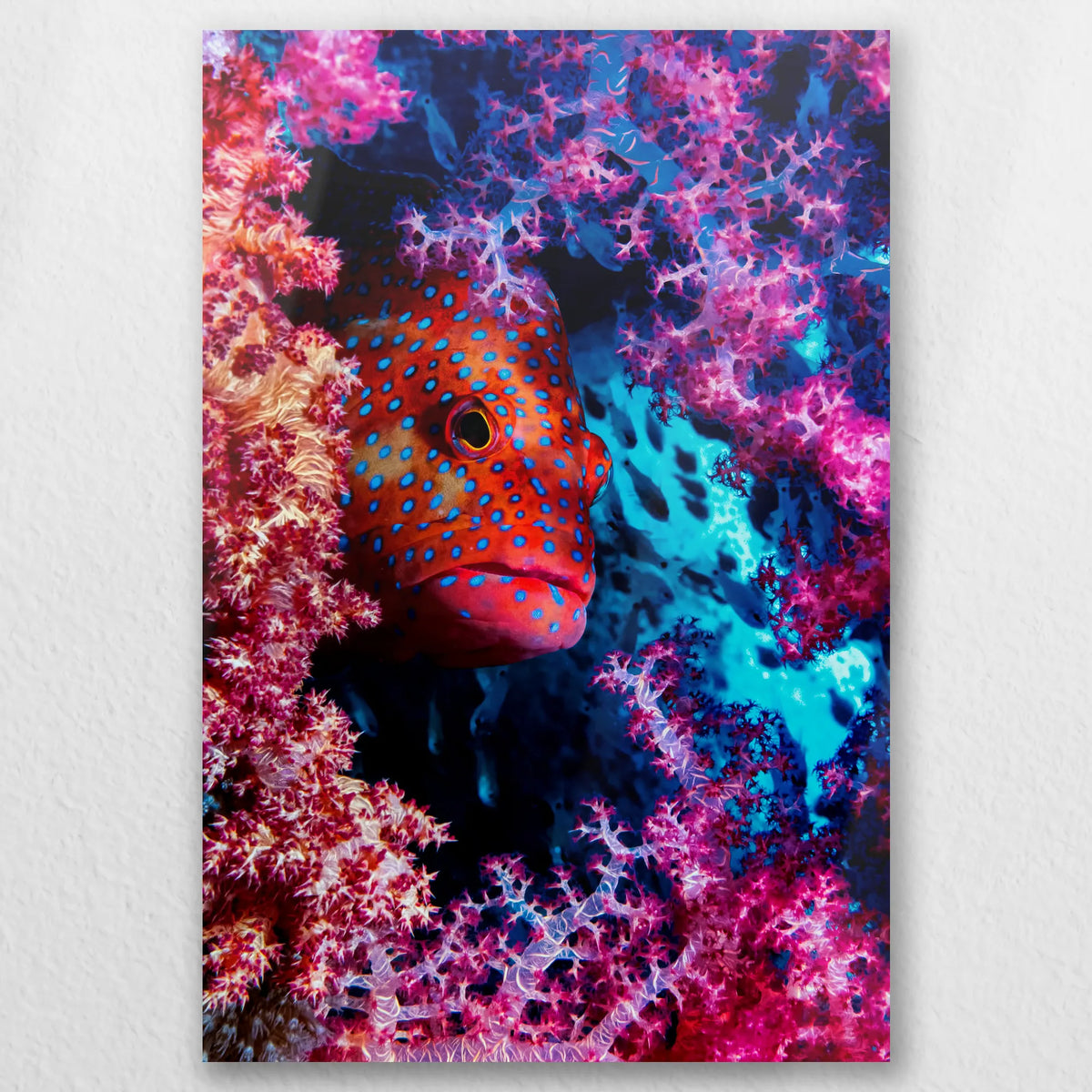 AL-050W075