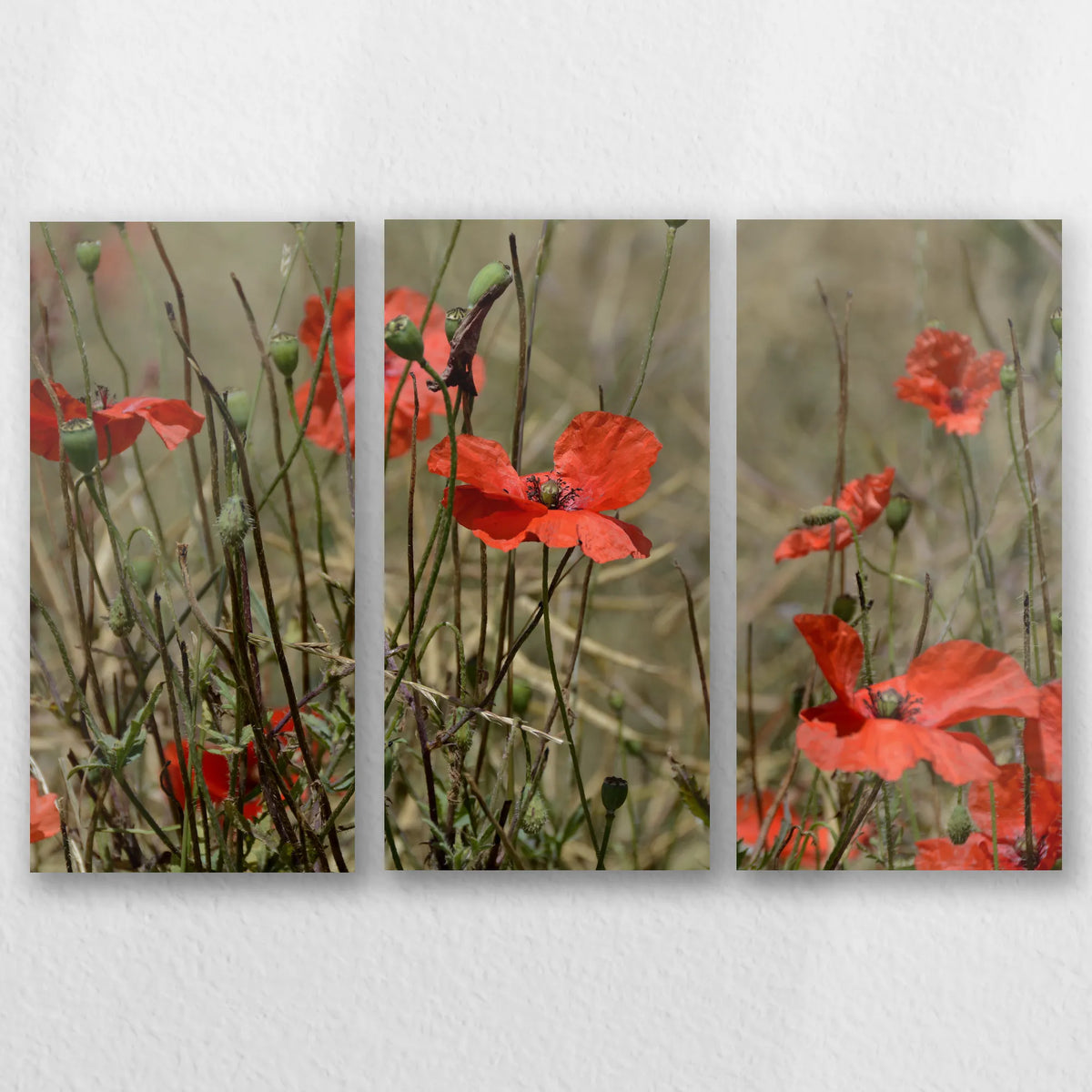 AL-060R040