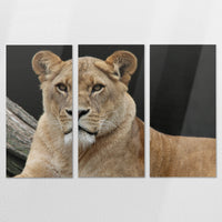 AL-180R120