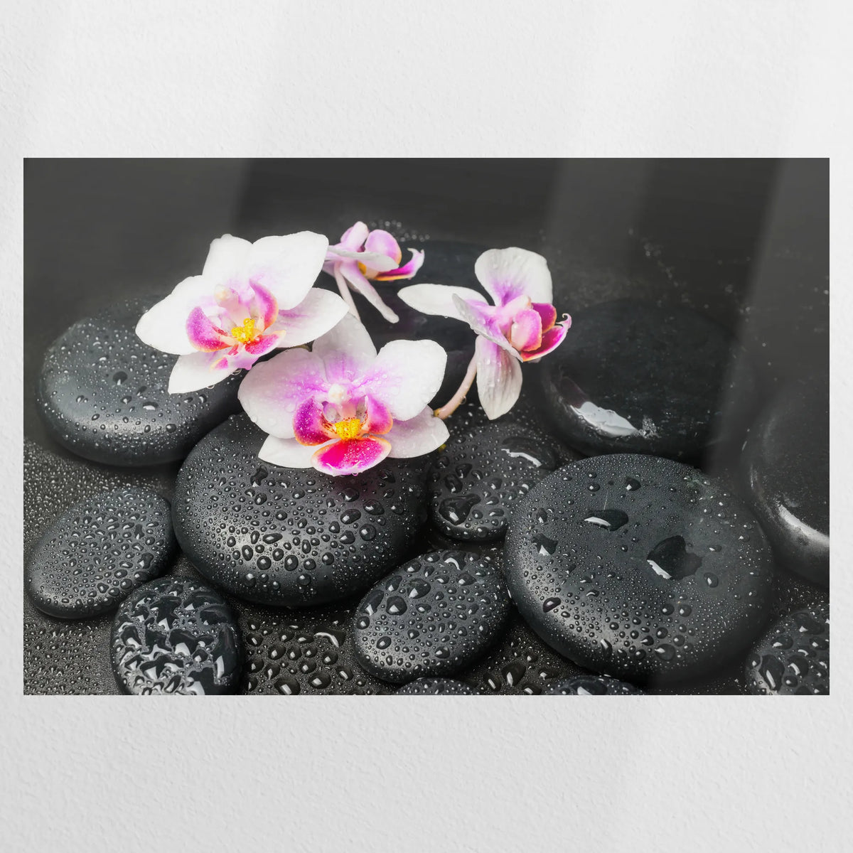 PO-075W050