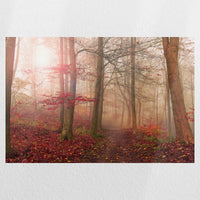 PO-030W020