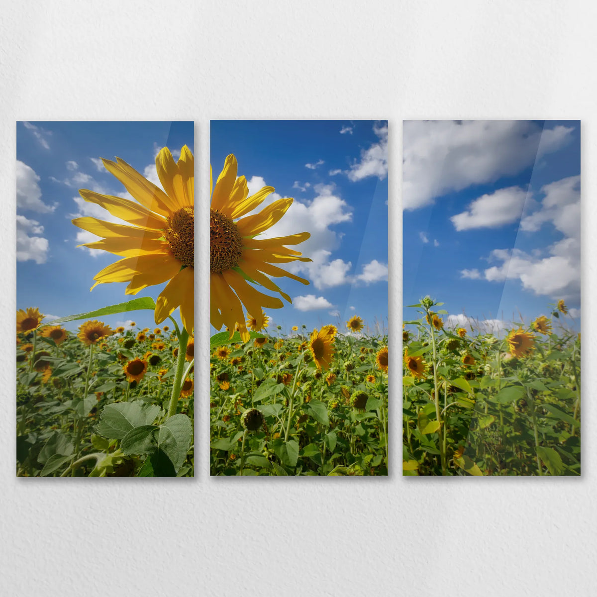 AC-150R100