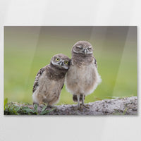 AL-075W050