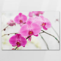 AC-090W060