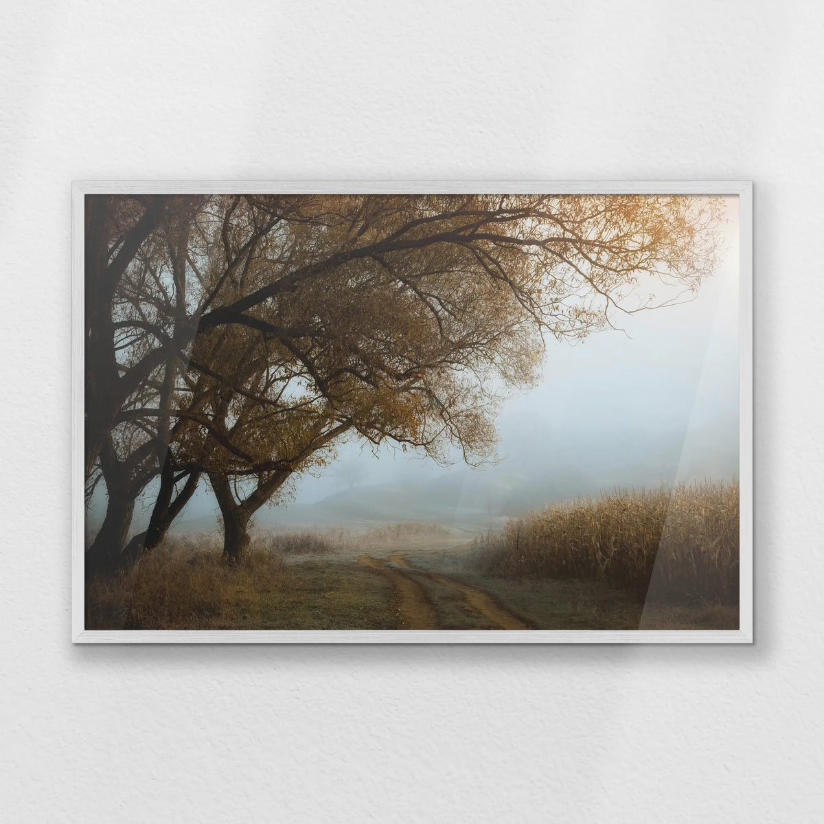 PW-093W062