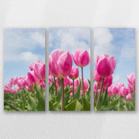 AL-060R040