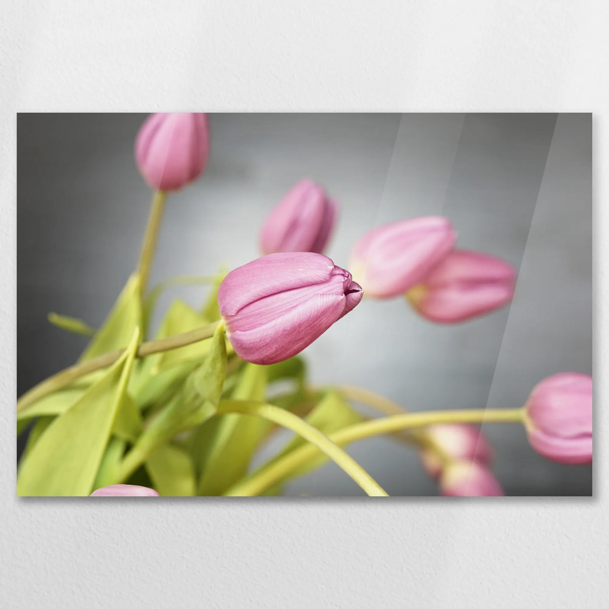 AC-075W050