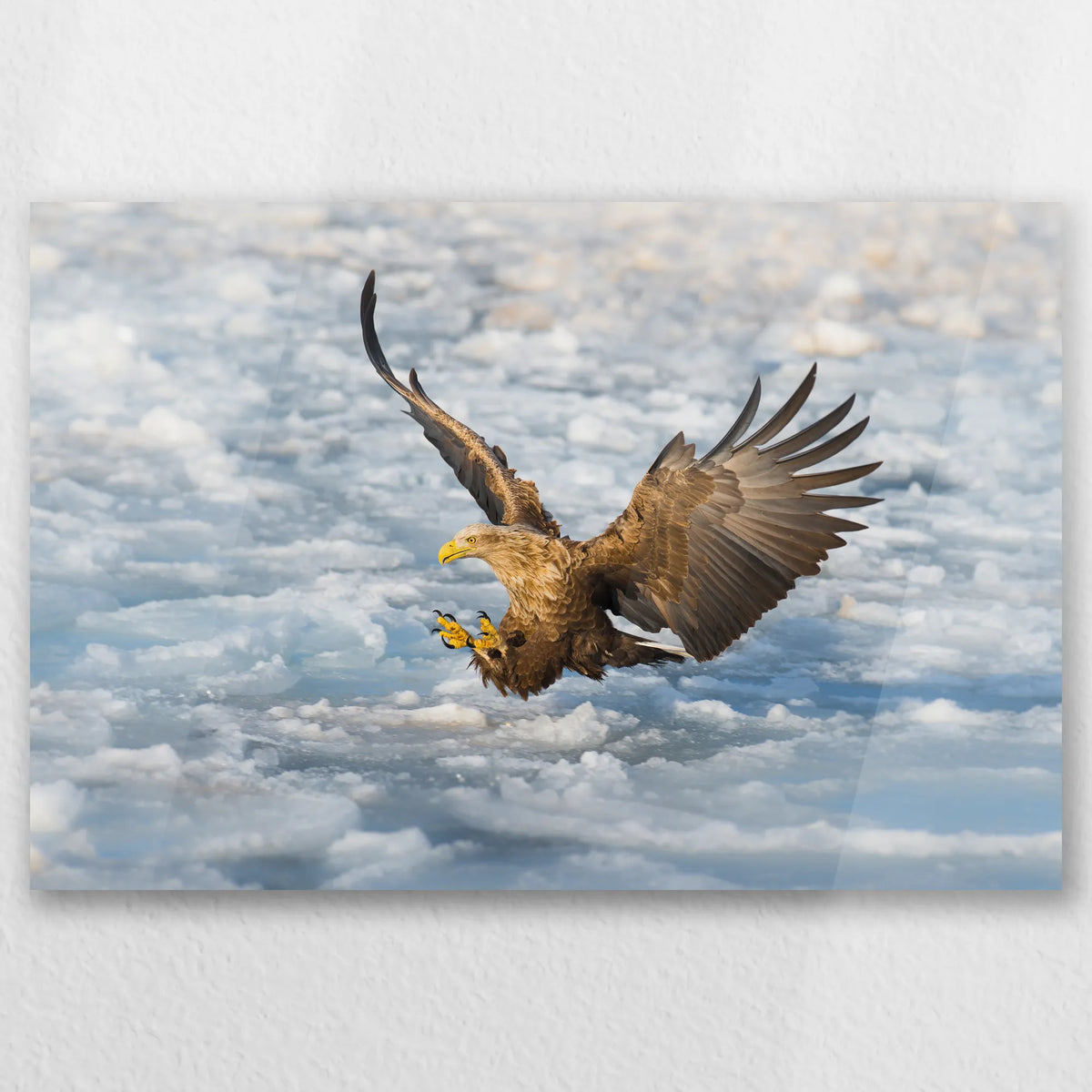 AC-030W020