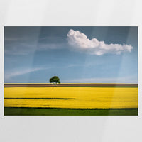 PO-075W050