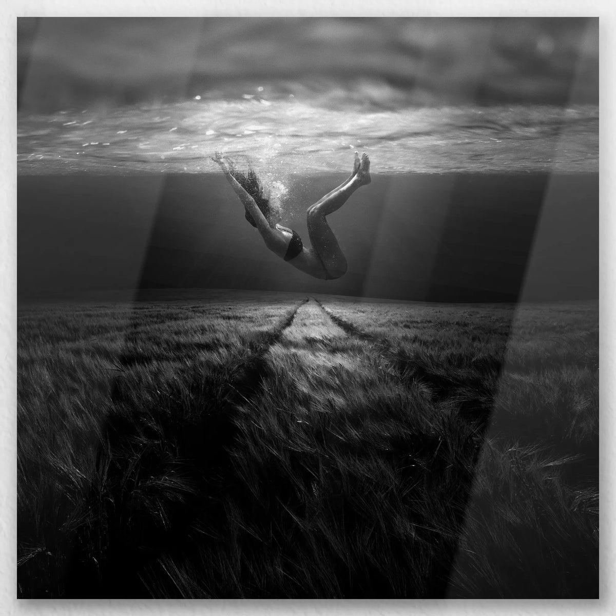 AL-050W050