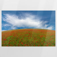 PO-120W080