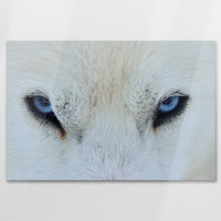 AC-090W060