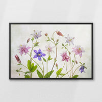 LWB120W080
