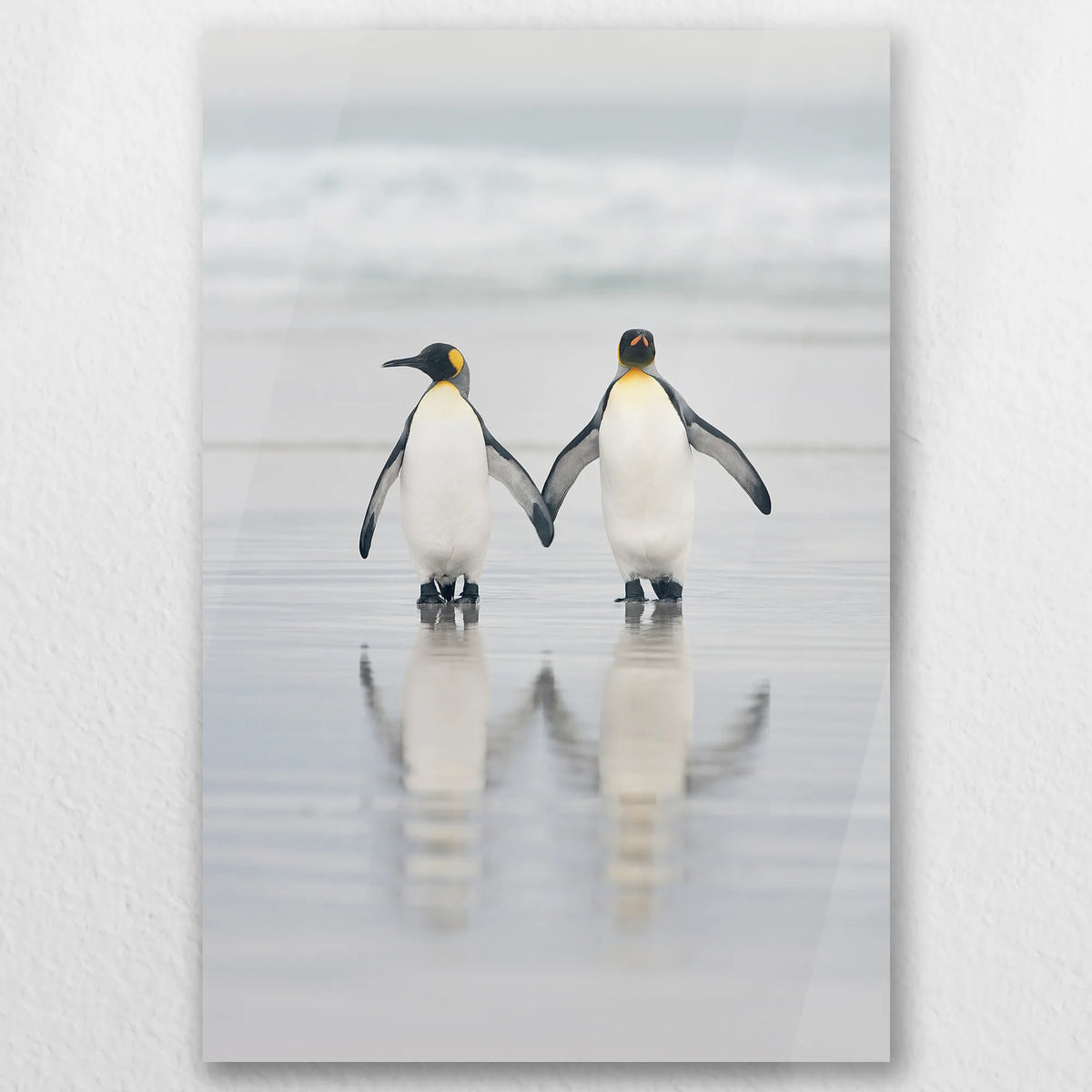 AC-050W075