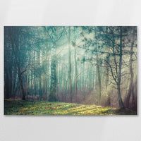 AL-075W050
