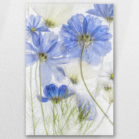 AL-030W045