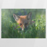 PO-120W080