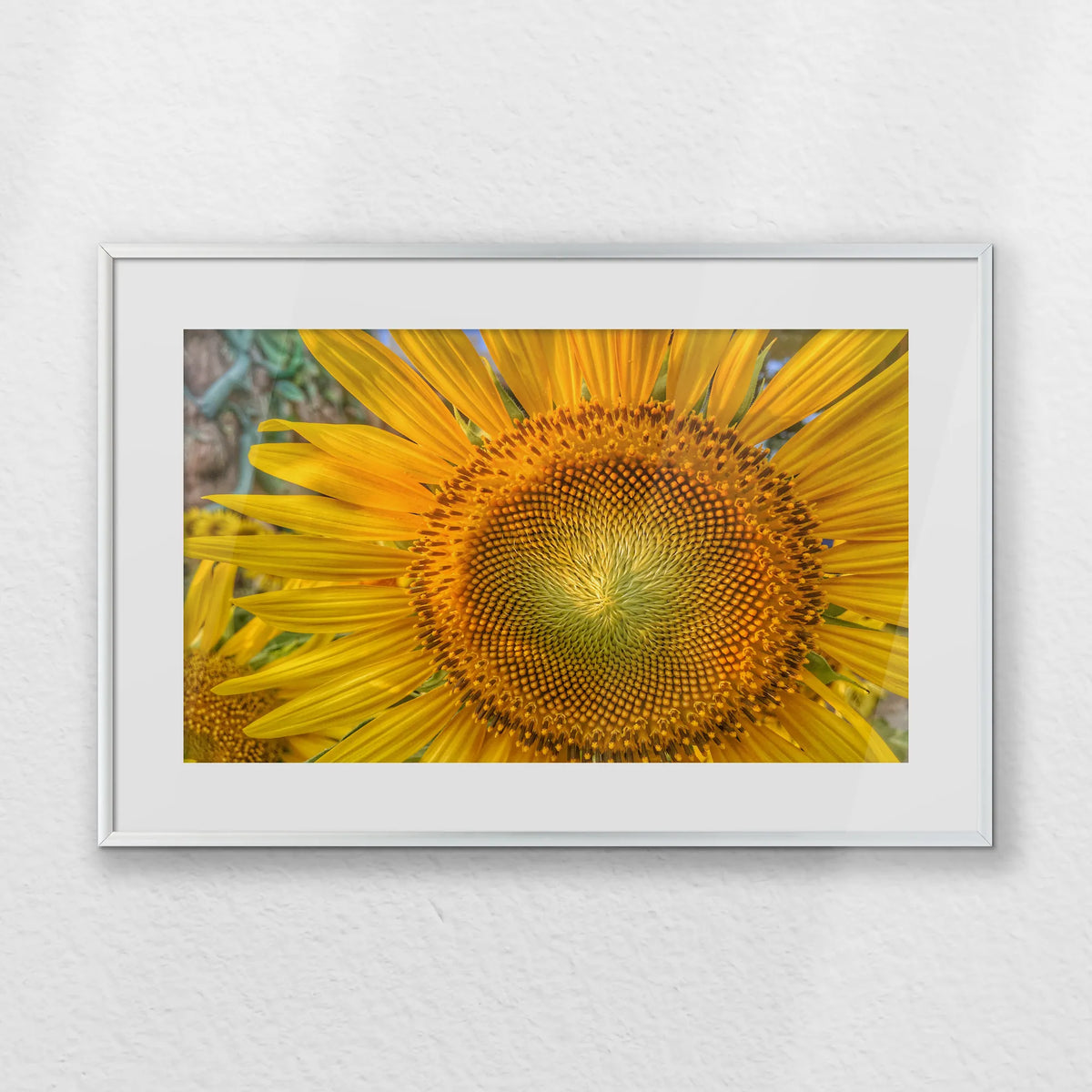 PSP060W040