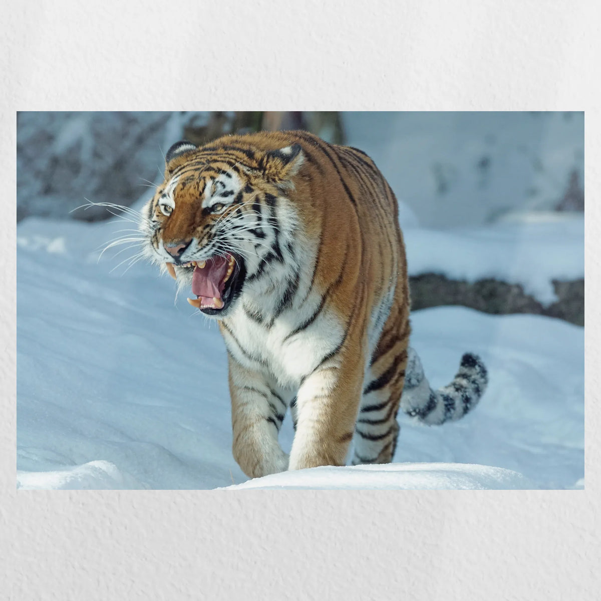 PO-060W040