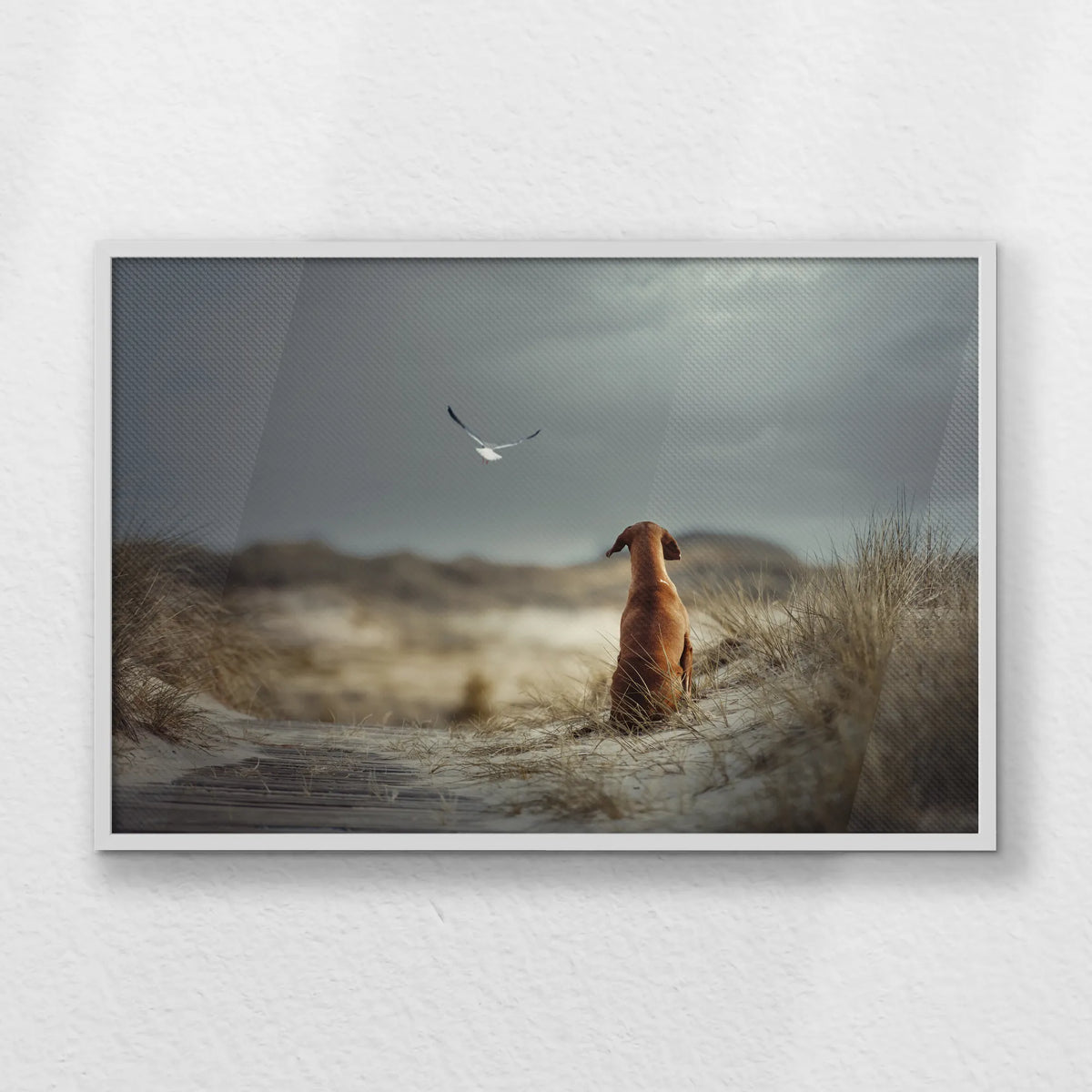 LWW100W070