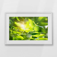 PWP093W062